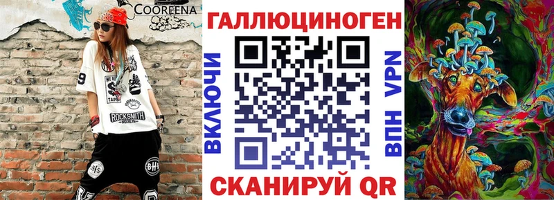 гидра зеркало Новокубанск Псилоцибиновые грибы GOLDEN TEACHER